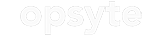 Opsyte software for hospitality and restaurants